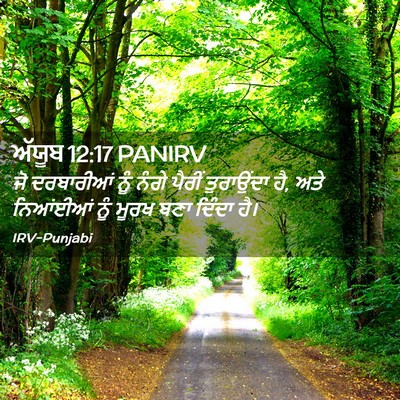 Picture 02 - ਅੱਯੂਬ 12:17 PANIRV - ਜੋ ਦਰਬਾਰੀਆਂ ਨੂੰ - Bible Verse Picture