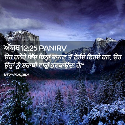Picture 02 - ਅੱਯੂਬ 12:25 PANIRV - ਉਹ ਹਨੇਰੇ ਵਿੱਚ - Bible Verse Picture