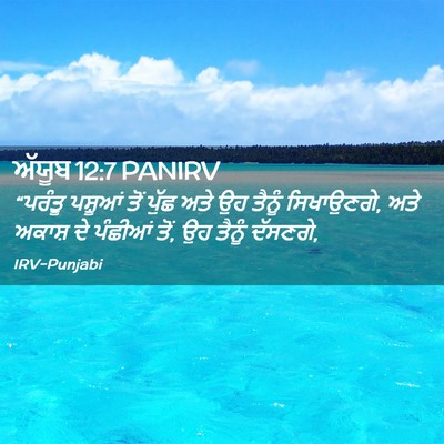 Picture 02 - ਅੱਯੂਬ 12:7 PANIRV - “ਪਰੰਤੂ ਪਸ਼ੂਆਂ ਤੋਂ - Bible Verse Picture