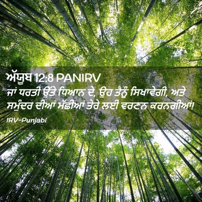 Picture 02 - ਅੱਯੂਬ 12:8 PANIRV - ਜਾਂ ਧਰਤੀ ਉੱਤੇ ਧਿਆਨ - Bible Verse Picture