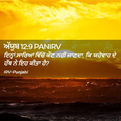 Picture 02 - ਅੱਯੂਬ 12:9 PANIRV - ਇਨ੍ਹਾਂ ਸਾਰਿਆਂ - Bible Verse Picture