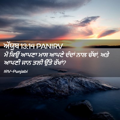 Picture 02 - ਅੱਯੂਬ 13:14 PANIRV - ਮੈਂ ਕਿਉਂ ਆਪਣਾ ਮਾਸ - Bible Verse Picture