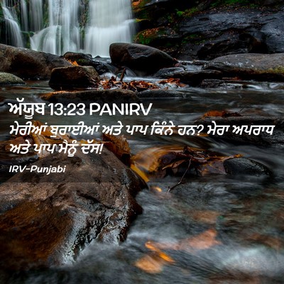 Picture 02 - ਅੱਯੂਬ 13:23 PANIRV - ਮੇਰੀਆਂ ਬੁਰਾਈਆਂ - Bible Verse Picture