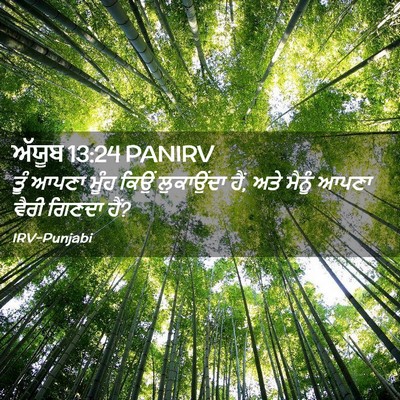 Picture 02 - ਅੱਯੂਬ 13:24 PANIRV - ਤੂੰ ਆਪਣਾ ਮੂੰਹ ਕਿਉਂ - Bible Verse Picture