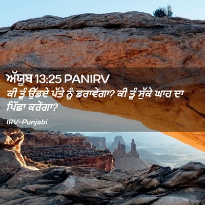 Picture 02 - ਅੱਯੂਬ 13:25 PANIRV - ਕੀ ਤੂੰ ਉੱਡਦੇ ਪੱਤੇ - Bible Verse Picture