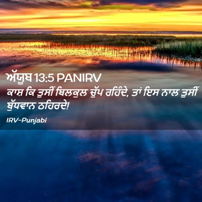 Picture 02 - ਅੱਯੂਬ 13:5 PANIRV - ਕਾਸ਼ ਕਿ ਤੁਸੀਂ - Bible Verse Picture