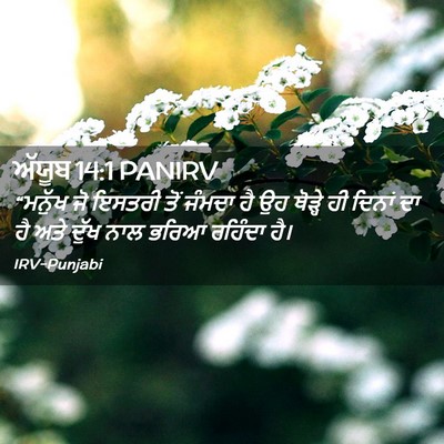 Picture 02 - ਅੱਯੂਬ 14:1 PANIRV - “ਮਨੁੱਖ ਜੋ ਇਸਤਰੀ - Bible Verse Picture