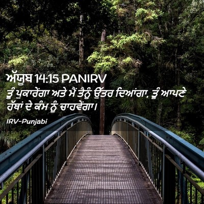 Picture 02 - ਅੱਯੂਬ 14:15 PANIRV - ਤੂੰ ਪੁਕਾਰੇਂਗਾ ਅਤੇ - Bible Verse Picture