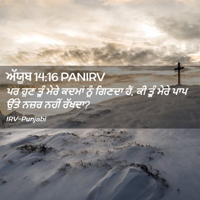 Picture 02 - ਅੱਯੂਬ 14:16 PANIRV - ਪਰ ਹੁਣ ਤੂੰ ਮੇਰੇ - Bible Verse Picture
