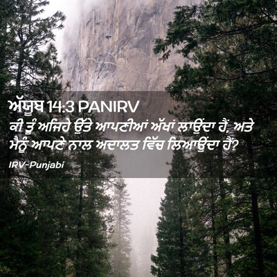 Picture 02 - ਅੱਯੂਬ 14:3 PANIRV - ਕੀ ਤੂੰ ਅਜਿਹੇ ਉੱਤੇ - Bible Verse Picture