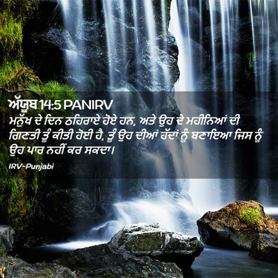 Picture 02 - ਅੱਯੂਬ 14:5 PANIRV - ਮਨੁੱਖ ਦੇ ਦਿਨ - Bible Verse Picture