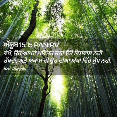 Picture 02 - ਅੱਯੂਬ 15:15 PANIRV - ਵੇਖੋ, ਉਹ ਆਪਣੇ - Bible Verse Picture