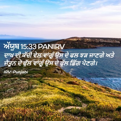 Picture 02 - ਅੱਯੂਬ 15:33 PANIRV - ਦਾਖ ਦੀ ਕੱਚੀ ਵੇਲ - Bible Verse Picture