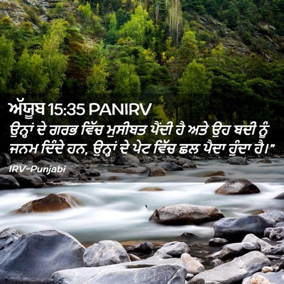 Picture 02 - ਅੱਯੂਬ 15:35 PANIRV - ਉਨ੍ਹਾਂ ਦੇ ਗਰਭ ਵਿੱਚ - Bible Verse Picture