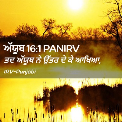 Picture 02 - ਅੱਯੂਬ 16:1 PANIRV - ਤਦ ਅੱਯੂਬ ਨੇ ਉੱਤਰ ਦੇ - Bible Verse Picture