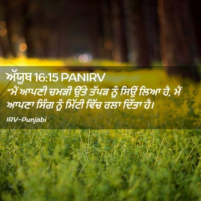 Picture 02 - ਅੱਯੂਬ 16:15 PANIRV - “ਮੈਂ ਆਪਣੀ ਚਮੜੀ - Bible Verse Picture