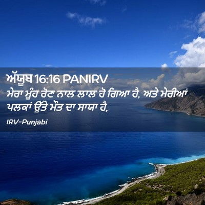 Picture 02 - ਅੱਯੂਬ 16:16 PANIRV - ਮੇਰਾ ਮੂੰਹ ਰੋਣ ਨਾਲ - Bible Verse Picture