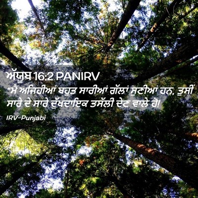 Picture 02 - ਅੱਯੂਬ 16:2 PANIRV - “ਮੈਂ ਅਜਿਹੀਆਂ ਬਹੁਤ - Bible Verse Picture