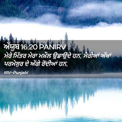 Picture 02 - ਅੱਯੂਬ 16:20 PANIRV - ਮੇਰੇ ਮਿੱਤਰ ਮੇਰਾ - Bible Verse Picture