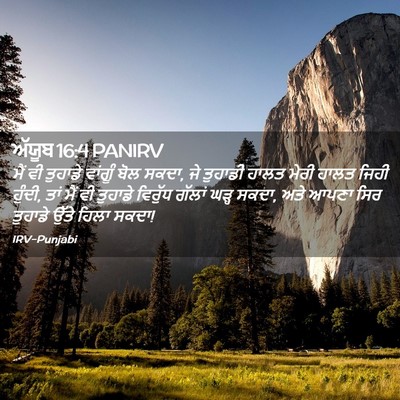 Picture 02 - ਅੱਯੂਬ 16:4 PANIRV - ਮੈਂ ਵੀ ਤੁਹਾਡੇ - Bible Verse Picture