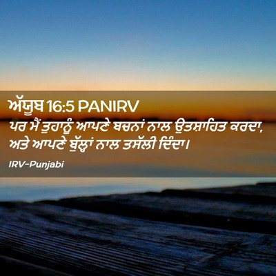 Picture 02 - ਅੱਯੂਬ 16:5 PANIRV - ਪਰ ਮੈਂ ਤੁਹਾਨੂੰ - Bible Verse Picture