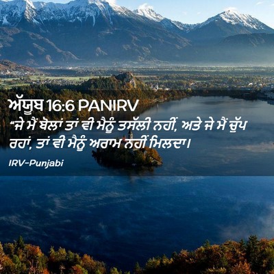 Picture 02 - ਅੱਯੂਬ 16:6 PANIRV - “ਜੇ ਮੈਂ ਬੋਲਾਂ ਤਾਂ - Bible Verse Picture
