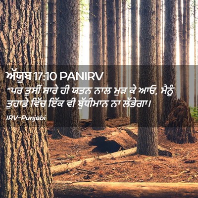 Picture 02 - ਅੱਯੂਬ 17:10 PANIRV - “ਪਰ ਤੁਸੀਂ ਸਾਰੇ ਹੀ - Bible Verse Picture