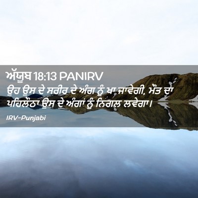 Picture 02 - ਅੱਯੂਬ 18:13 PANIRV - ਉਹ ਉਸ ਦੇ ਸਰੀਰ ਦੇ - Bible Verse Picture