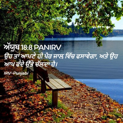 Picture 02 - ਅੱਯੂਬ 18:8 PANIRV - ਉਹ ਤਾਂ ਆਪਣੇ ਹੀ ਪੈਰ - Bible Verse Picture