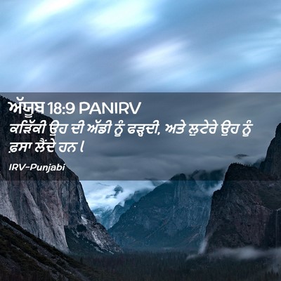 Picture 02 - ਅੱਯੂਬ 18:9 PANIRV - ਕੜਿੱਕੀ ਉਹ ਦੀ ਅੱਡੀ - Bible Verse Picture