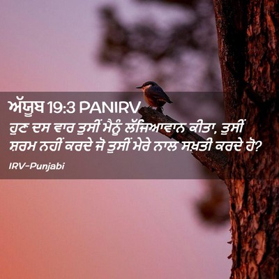 Picture 02 - ਅੱਯੂਬ 19:3 PANIRV - ਹੁਣ ਦਸ ਵਾਰ ਤੁਸੀਂ - Bible Verse Picture