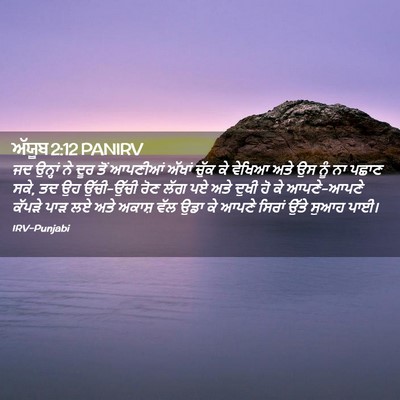 Picture 02 - ਅੱਯੂਬ 2:12 PANIRV - ਜਦ ਉਨ੍ਹਾਂ ਨੇ ਦੂਰ - Bible Verse Picture