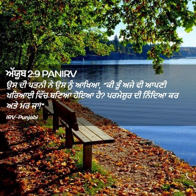 Picture 02 - ਅੱਯੂਬ 2:9 PANIRV - ਉਸ ਦੀ ਪਤਨੀ ਨੇ ਉਸ - Bible Verse Picture