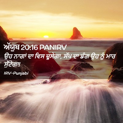 Picture 02 - ਅੱਯੂਬ 20:16 PANIRV - ਉਹ ਨਾਗਾਂ ਦਾ ਵਿਸ - Bible Verse Picture