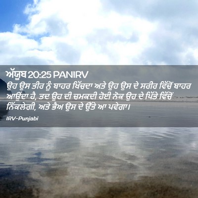 Picture 02 - ਅੱਯੂਬ 20:25 PANIRV - ਉਹ ਉਸ ਤੀਰ ਨੂੰ ਬਾਹਰ - Bible Verse Picture