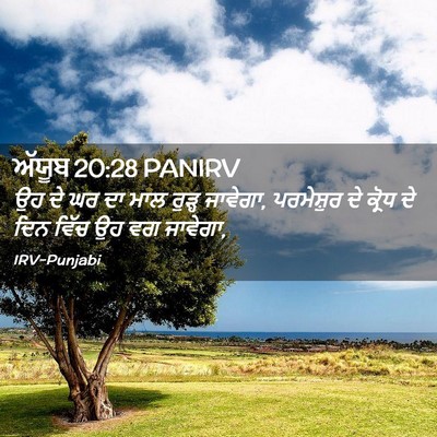 Picture 02 - ਅੱਯੂਬ 20:28 PANIRV - ਉਹ ਦੇ ਘਰ ਦਾ ਮਾਲ - Bible Verse Picture