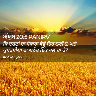 Picture 02 - ਅੱਯੂਬ 20:5 PANIRV - ਕਿ ਦੁਸ਼ਟਾਂ ਦਾ - Bible Verse Picture