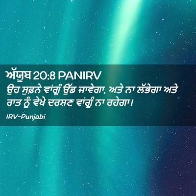 Picture 02 - ਅੱਯੂਬ 20:8 PANIRV - ਉਹ ਸੁਫ਼ਨੇ ਵਾਂਗੂੰ - Bible Verse Picture