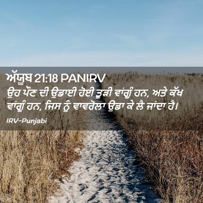 Picture 02 - ਅੱਯੂਬ 21:18 PANIRV - ਉਹ ਪੌਣ ਦੀ ਉਡਾਈ ਹੋਈ - Bible Verse Picture