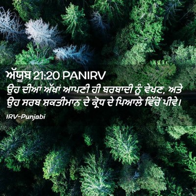 Picture 02 - ਅੱਯੂਬ 21:20 PANIRV - ਉਹ ਦੀਆਂ ਅੱਖਾਂ ਆਪਣੀ - Bible Verse Picture