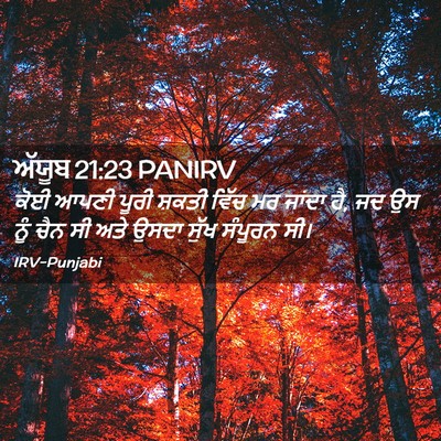 Picture 02 - ਅੱਯੂਬ 21:23 PANIRV - ਕੋਈ ਆਪਣੀ ਪੂਰੀ - Bible Verse Picture