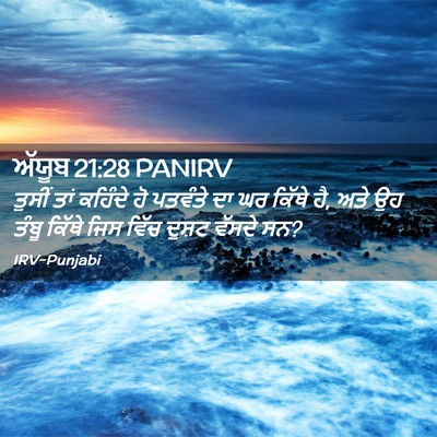 Picture 02 - ਅੱਯੂਬ 21:28 PANIRV - ਤੁਸੀਂ ਤਾਂ ਕਹਿੰਦੇ - Bible Verse Picture