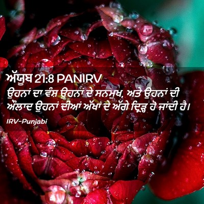 Picture 02 - ਅੱਯੂਬ 21:8 PANIRV - ਉਹਨਾਂ ਦਾ ਵੰਸ਼ - Bible Verse Picture