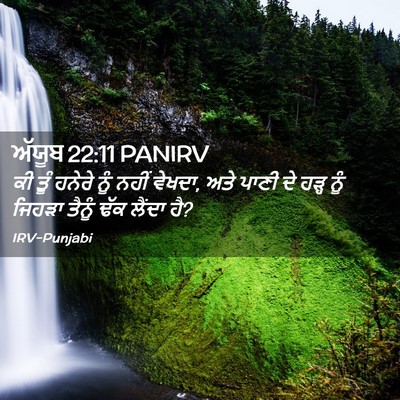 Picture 02 - ਅੱਯੂਬ 22:11 PANIRV - ਕੀ ਤੂੰ ਹਨੇਰੇ ਨੂੰ - Bible Verse Picture