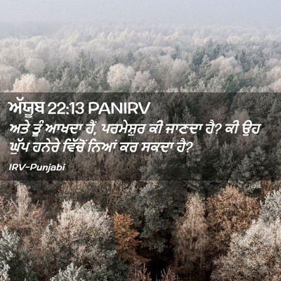Picture 02 - ਅੱਯੂਬ 22:13 PANIRV - ਅਤੇ ਤੂੰ ਆਖਦਾ ਹੈਂ, - Bible Verse Picture
