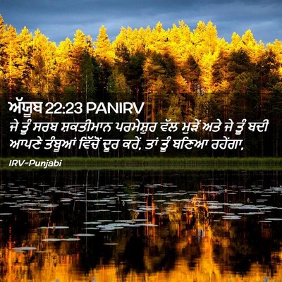 Picture 02 - ਅੱਯੂਬ 22:23 PANIRV - ਜੇ ਤੂੰ ਸਰਬ - Bible Verse Picture