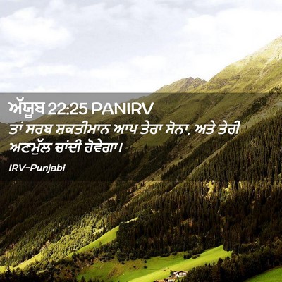 Picture 02 - ਅੱਯੂਬ 22:25 PANIRV - ਤਾਂ ਸਰਬ ਸ਼ਕਤੀਮਾਨ - Bible Verse Picture