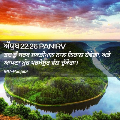 Picture 02 - ਅੱਯੂਬ 22:26 PANIRV - ਤਦ ਤੂੰ ਸਰਬ - Bible Verse Picture