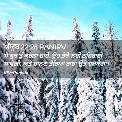 Picture 02 - ਅੱਯੂਬ 22:28 PANIRV - ਜੋ ਕੁਝ ਤੂੰ ਕਰਨਾ - Bible Verse Picture