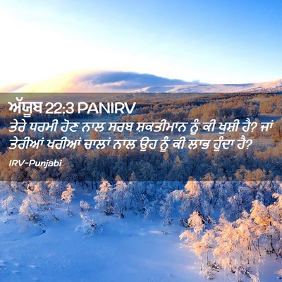 Picture 02 - ਅੱਯੂਬ 22:3 PANIRV - ਤੇਰੇ ਧਰਮੀ ਹੋਣ ਨਾਲ - Bible Verse Picture